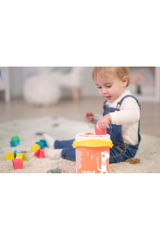 Jogo de triagem de forma - 16 peças - 12 aos 24 meses