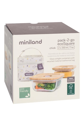 2 lancheiras e saco térmico - A partir do nascimento