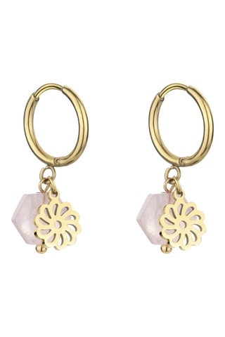 Creolen - Roze en goudkleurig - Emily Westwood