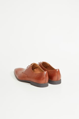 Derbies Bampton - Marrón