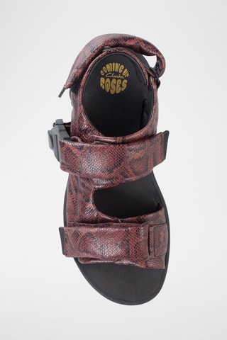 Sandalias de piel Cur - Marrón