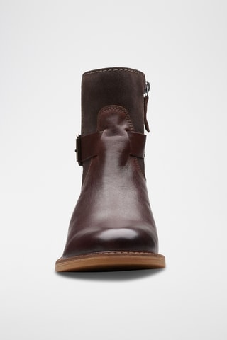 Botines de piel Cologne - Marrón