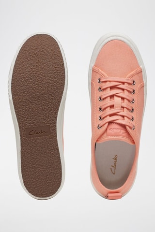 Tenis Roxby - Coral