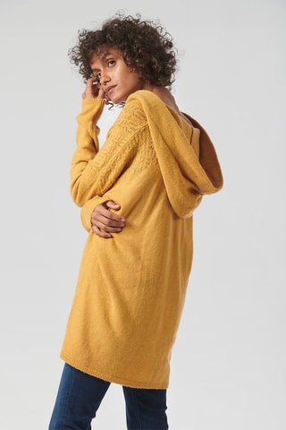 Pull à capuche Barry - Orange