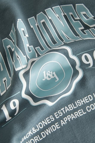 Sweater met Capuchon - Blauwgrijs