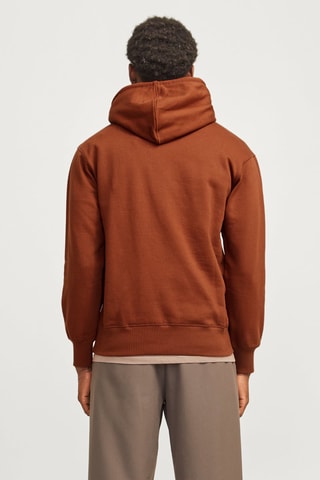 Sweater met Capuchon - Bruin