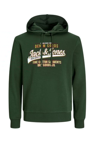 Sweater met Capuchon - Groen