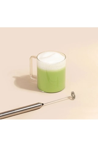 Fouet électrique en acier inoxydable