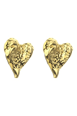 Oorbellen - Doublé Geelgoud