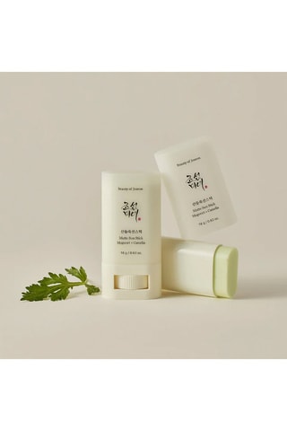 Protection solaire à l'armoise et camélia Relief Sunmatte - 18 g