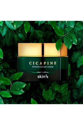 Crème régénérante Cica Pine - 50 ml