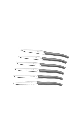 6 Roestvrijstalen 13/10 Steakmessen Sky - 23,2 cm