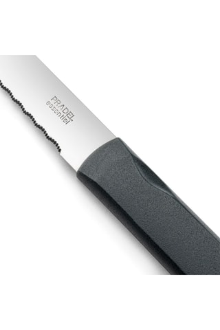 6 Roestvrijstalen Vleesmessen Energy - 21,3 cm