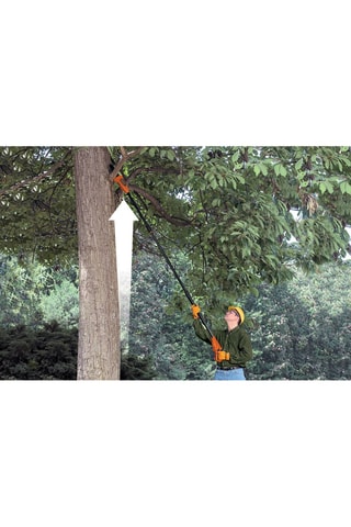 Elagueur sur perche sans fil - 18 V