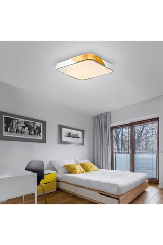 Ledplafondlamp Bila - Wit - 24 W