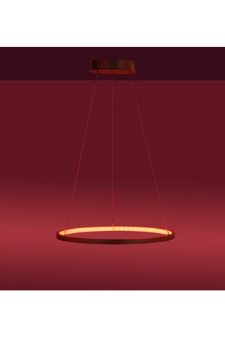 Ledhanglamp Ls-Circle - Zilverkleurig - 25 W