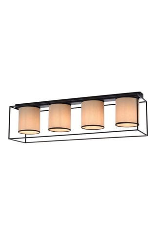 Plafondlamp Raven - Zwart - 4 x 25 W