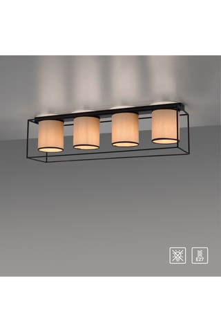 Plafondlamp Raven - Zwart - 4 x 25 W