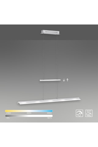 Ledhanglamp Nele - Zilverkleurig - 5 x 4 W