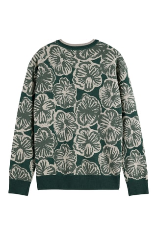 Pull regular en mérinos - Vert