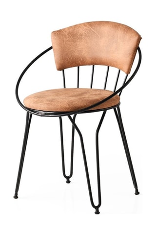 2 chaises - 60 x 50 x 76,5 cm