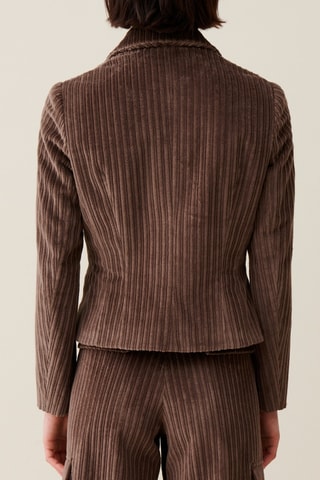 Velours Blazer - Taupe