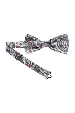 Noeud papillon  - Multicolore