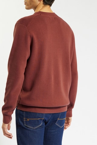 Pull en coton biologique  - Bordeaux