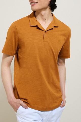 Polo regular en coton biologique - Marron