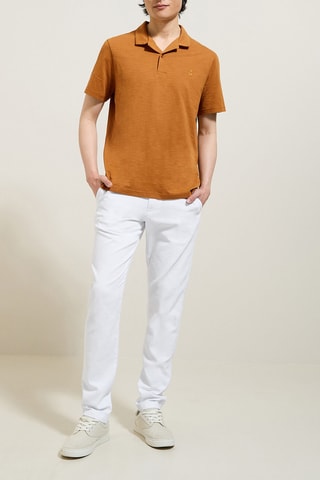 Polo regular en coton biologique - Marron