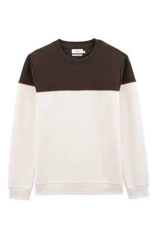 Sweat en coton biologique Blanc et marron