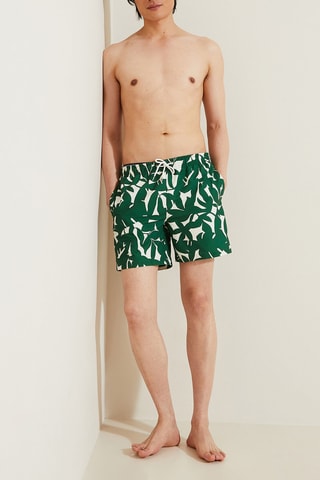 Short de bain - Vert