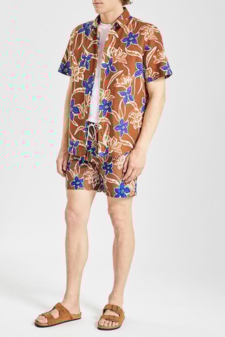 Short de bain - Marron