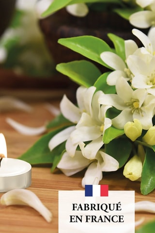 24 velas calientaplatos perfumadas - Ylang y jazmín