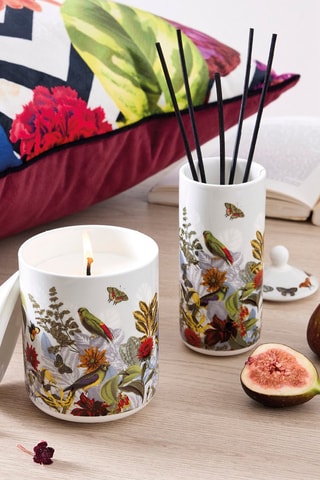 Vela perfumada de porcelana Jardin D’hiver - Higuera -