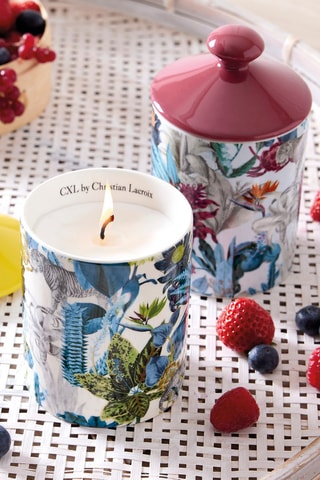 Vela perfumada de porcelana Zanzibar Amarillo - Frutos rojos