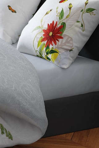 Sábana bajera de satén de algodón 80 hilos/cm² Liso - Gris