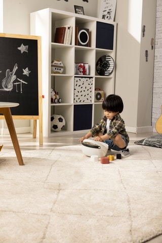 Clasificador de formas - Desde 6 meses