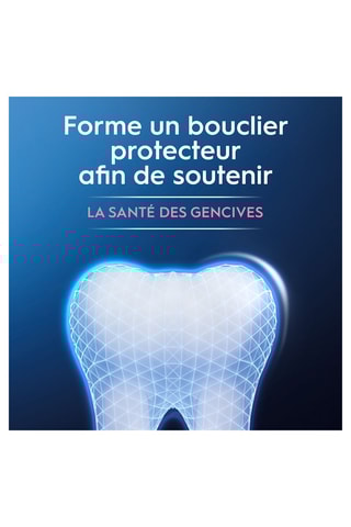 Dentifrice Oral-B Advanced Protection Gencive - Mente Fraîche - 75 ml