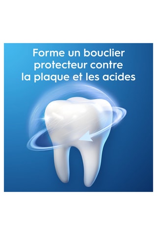 Dentifrice Oral-B Pro-Expert - Menthe Extra Fraîche - 75 ml