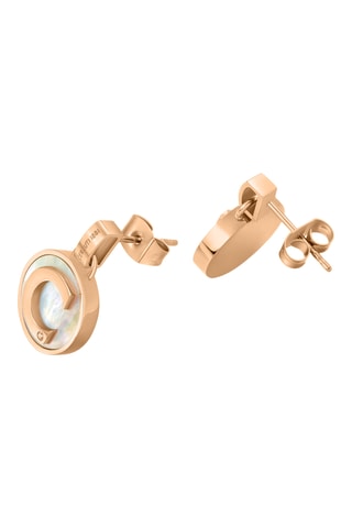 Brincos Circulo - Banhado a ouro rosa