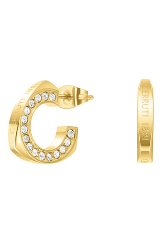 Argolas Giulia - Banhado a ouro amarelo