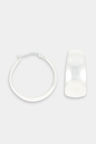 Creolen Zilverkleurig