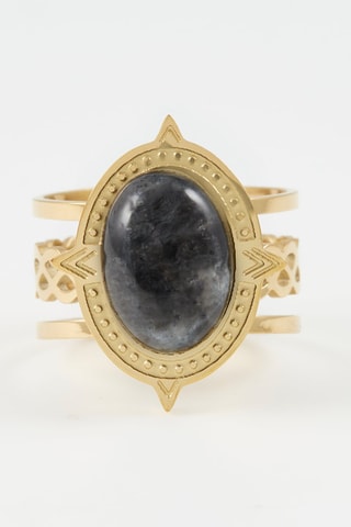 Ring Goudkleurig en Zwart