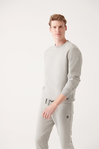 Sweat regular - Gris clair
