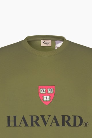 Sweat Université d’Harvard - Kaki