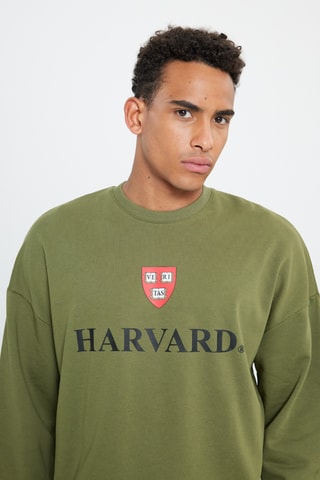 Sweat Université d’Harvard - Kaki