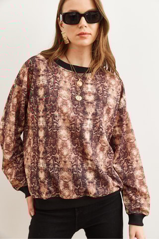 Sweat - Marron clair et marron foncé