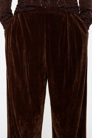 Pantaloni in velluto - Marrone