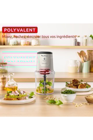 Hachoir électrique Easy Press - 500 ml - 600 W